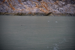 Filename=DSC_5719.jpg
Filesize=12126KiB
Dimensions=7360x4912
Date added=Sep 16, 2019 DSC_5719.jpg