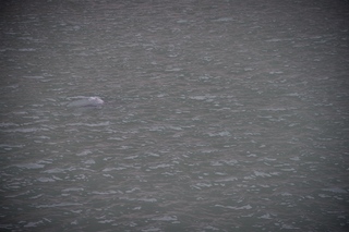 Filename=DSC_5741.jpg
Filesize=9288KiB
Dimensions=7360x4912
Date added=Sep 16, 2019 DSC_5741.jpg