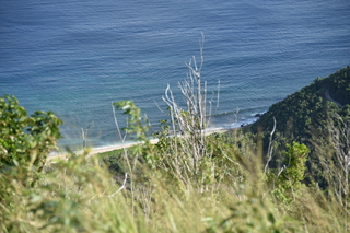 Filename=DSC_3802.JPG
Filesize=18664KiB
Dimensions=7360x4912
Date added=Sep 16, 2019 DSC_3802.JPG