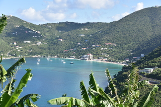 Filename=DSC_3826.JPG
Filesize=21965KiB
Dimensions=7360x4912
Date added=Sep 16, 2019 DSC_3826.JPG