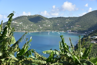 Filename=DSC_3827.JPG
Filesize=20930KiB
Dimensions=7360x4912
Date added=Sep 16, 2019 DSC_3827.JPG