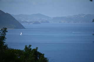 Filename=DSC_3844.JPG
Filesize=15155KiB
Dimensions=7360x4912
Date added=Sep 16, 2019 DSC_3844.JPG