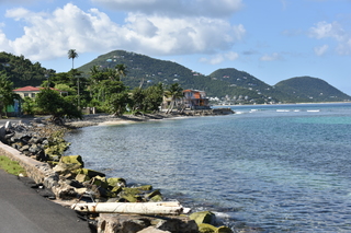 Filename=DSC_3867.JPG
Filesize=18901KiB
Dimensions=7360x4912
Date added=Sep 16, 2019 DSC_3867.JPG