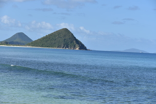 Filename=DSC_3884.JPG
Filesize=17766KiB
Dimensions=7360x4912
Date added=Sep 16, 2019 DSC_3884.JPG