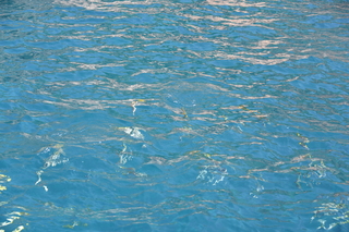 Filename=DSC_3915.JPG
Filesize=19622KiB
Dimensions=7360x4912
Date added=Sep 16, 2019 DSC_3915.JPG