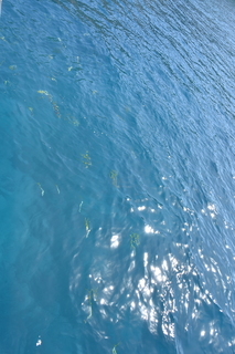 Filename=DSC_3935.JPG
Filesize=15209KiB
Dimensions=4912x7360
Date added=Sep 16, 2019 DSC_3935.JPG