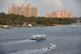 Filename=DSC_4010.JPG
Filesize=19271KiB
Dimensions=7360x4912
Date added=Sep 16, 2019 DSC_4010.JPG