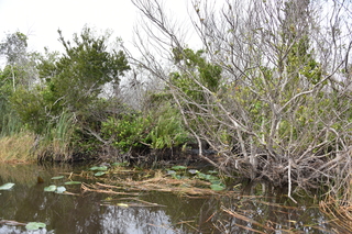 Filename=DSC_4049.JPG
Filesize=26740KiB
Dimensions=7360x4912
Date added=Sep 16, 2019 DSC_4049.JPG