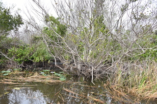 Filename=DSC_4053.JPG
Filesize=28127KiB
Dimensions=7360x4912
Date added=Sep 16, 2019 DSC_4053.JPG