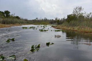 Filename=DSC_4057.JPG
Filesize=19347KiB
Dimensions=7360x4912
Date added=Sep 16, 2019 DSC_4057.JPG