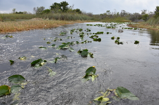 Filename=DSC_4058.JPG
Filesize=20406KiB
Dimensions=7360x4912
Date added=Sep 16, 2019 DSC_4058.JPG