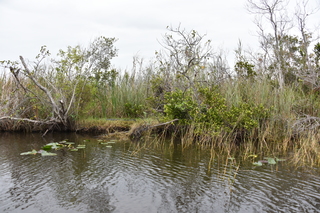 Filename=DSC_4074.JPG
Filesize=23056KiB
Dimensions=7360x4912
Date added=Sep 16, 2019 DSC_4074.JPG