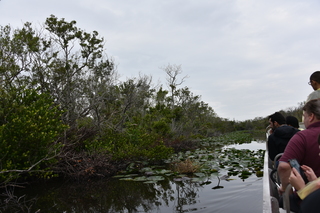 Filename=DSC_4085.JPG
Filesize=19861KiB
Dimensions=7360x4912
Date added=Sep 16, 2019 DSC_4085.JPG