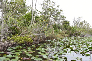 Filename=DSC_4086.JPG
Filesize=22176KiB
Dimensions=7360x4912
Date added=Sep 16, 2019 DSC_4086.JPG