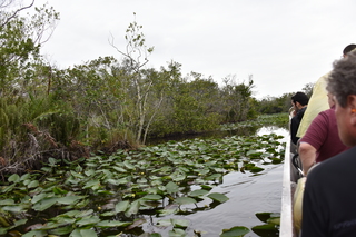 Filename=DSC_4097.JPG
Filesize=19808KiB
Dimensions=7360x4912
Date added=Sep 16, 2019 DSC_4097.JPG