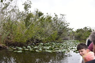 Filename=DSC_4107.JPG
Filesize=21510KiB
Dimensions=7360x4912
Date added=Sep 16, 2019 DSC_4107.JPG