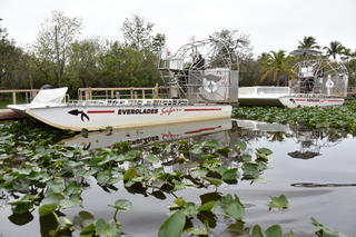 Filename=DSC_4129.JPG
Filesize=19651KiB
Dimensions=7360x4912
Date added=Sep 16, 2019 DSC_4129.JPG