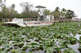 Filename=DSC_4130.JPG
Filesize=20745KiB
Dimensions=7360x4912
Date added=Sep 16, 2019 DSC_4130.JPG