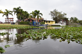 Filename=DSC_4131.JPG
Filesize=18701KiB
Dimensions=7360x4912
Date added=Sep 16, 2019 DSC_4131.JPG