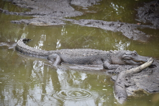 Filename=DSC_4135.JPG
Filesize=17595KiB
Dimensions=7360x4912
Date added=Sep 16, 2019 DSC_4135.JPG