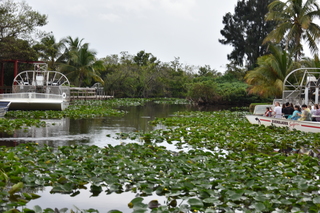 Filename=DSC_4143.JPG
Filesize=18073KiB
Dimensions=7360x4912
Date added=Sep 16, 2019 DSC_4143.JPG