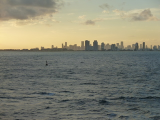 Filename=P1070218.JPG
Filesize=5350KiB
Dimensions=4320x3240
Date added=Sep 16, 2019 P1070218.JPG