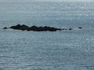 Filename=P1070308.JPG
Filesize=5249KiB
Dimensions=4320x3240
Date added=Sep 16, 2019 P1070308.JPG