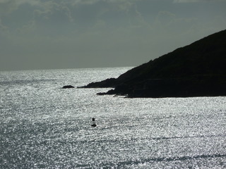 Filename=P1070331.JPG
Filesize=5391KiB
Dimensions=4320x3240
Date added=Sep 16, 2019 P1070331.JPG