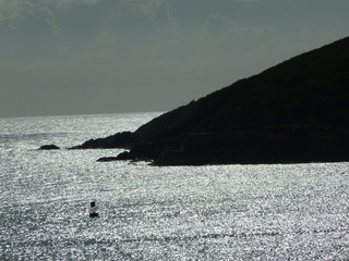 Filename=P1070332.JPG
Filesize=5805KiB
Dimensions=4320x3240
Date added=Sep 16, 2019 P1070332.JPG