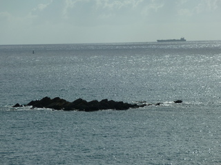 Filename=P1070333.JPG
Filesize=5603KiB
Dimensions=4320x3240
Date added=Sep 16, 2019 P1070333.JPG