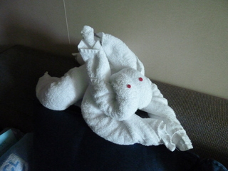 Filename=P1070342.JPG
Filesize=4581KiB
Dimensions=4320x3240
Date added=Sep 16, 2019 P1070342.JPG