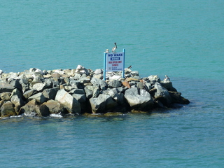 Filename=P1070400.JPG
Filesize=5700KiB
Dimensions=4320x3240
Date added=Sep 16, 2019 P1070400.JPG