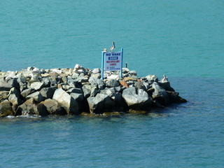 Filename=P1070401.JPG
Filesize=5429KiB
Dimensions=4320x3240
Date added=Sep 16, 2019 P1070401.JPG