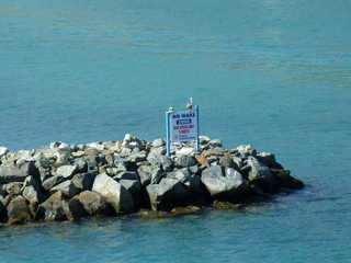 Filename=P1070424.JPG
Filesize=5600KiB
Dimensions=4320x3240
Date added=Sep 16, 2019 P1070424.JPG