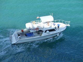 Filename=P1070436.JPG
Filesize=5206KiB
Dimensions=4320x3240
Date added=Sep 16, 2019 P1070436.JPG