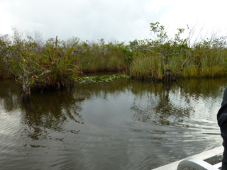 Filename=P1070458.JPG
Filesize=5521KiB
Dimensions=4320x3240
Date added=Sep 16, 2019 P1070458.JPG