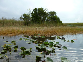 Filename=P1070459.JPG
Filesize=5882KiB
Dimensions=4320x3240
Date added=Sep 16, 2019 P1070459.JPG