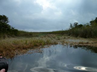 Filename=P1070460.JPG
Filesize=5665KiB
Dimensions=4320x3240
Date added=Sep 16, 2019 P1070460.JPG