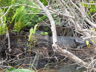 Filename=P1070463.JPG
Filesize=5853KiB
Dimensions=4320x3240
Date added=Sep 16, 2019 P1070463.JPG