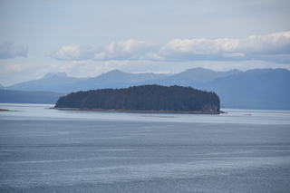 Filename=DSC_0674.JPG
Filesize=16817KiB
Dimensions=7360x4912
Date added=Sep 16, 2019 DSC_0674.JPG