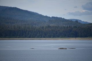 Filename=DSC_0677.JPG
Filesize=17003KiB
Dimensions=7360x4912
Date added=Sep 16, 2019 DSC_0677.JPG