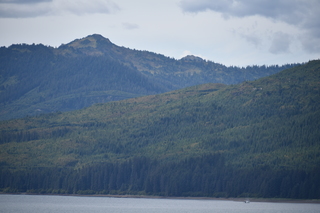 Filename=DSC_0681.JPG
Filesize=16359KiB
Dimensions=7360x4912
Date added=Sep 16, 2019 DSC_0681.JPG