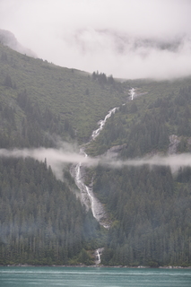 Filename=DSC_0701.JPG
Filesize=13015KiB
Dimensions=4912x7360
Date added=Sep 16, 2019 DSC_0701.JPG