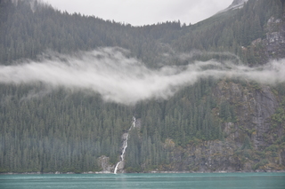 Filename=DSC_0704.JPG
Filesize=17338KiB
Dimensions=7360x4912
Date added=Sep 16, 2019 DSC_0704.JPG