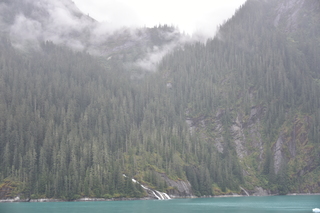 Filename=DSC_0714.JPG
Filesize=16912KiB
Dimensions=7360x4912
Date added=Sep 16, 2019 DSC_0714.JPG