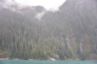 Filename=DSC_0716.JPG
Filesize=17081KiB
Dimensions=7360x4912
Date added=Sep 16, 2019 DSC_0716.JPG