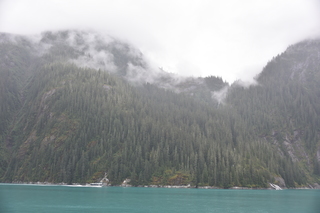 Filename=DSC_0718.JPG
Filesize=16128KiB
Dimensions=7360x4912
Date added=Sep 16, 2019 DSC_0718.JPG