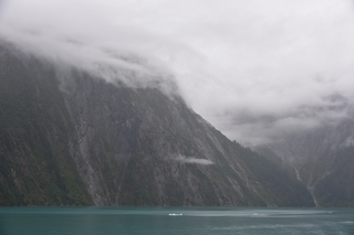 Filename=DSC_0719.JPG
Filesize=14890KiB
Dimensions=7360x4912
Date added=Sep 16, 2019 DSC_0719.JPG