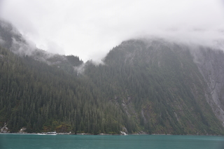 Filename=DSC_0720.JPG
Filesize=15595KiB
Dimensions=7360x4912
Date added=Sep 16, 2019 DSC_0720.JPG