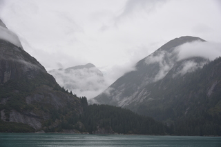 Filename=DSC_0725.JPG
Filesize=14312KiB
Dimensions=7360x4912
Date added=Sep 16, 2019 DSC_0725.JPG